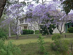 Old Government House, Parramatta - spring