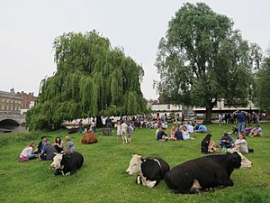 Relaxing on Laundress Green (geograph 4991277)