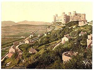 (The castle, Harlech Castle, Wales) (LOC) (3751638943)
