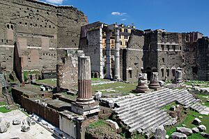20140804 Forum of Augustus Rome 0679