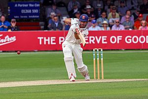 Alastair Cook batting 2019