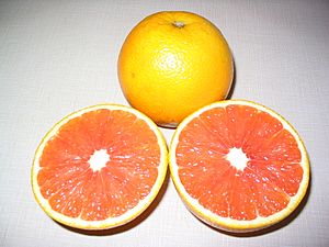 Cara cara orange cut in half.JPG