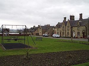 A village green with a swing set in the middle and a row of houses in the background