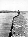 Oyster dyke at Poulsbo, Washington, June 1920 (COBB 143)