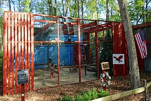 Raptor Trust Bald Eagle cage