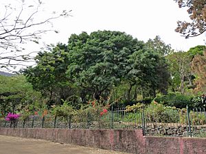 Grandvaux Barbosa National Botanical Garden