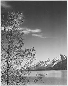 Ansel Adams - National Archives 79-AA-G03
