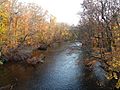 Autumn Passaic River Chatham NJ