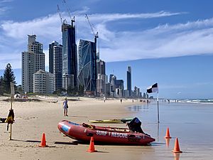 Broadbeach Surf Life Saving Club and Surfers Paradise skyscrapers, Queensland 02