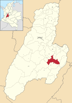 Location of the municipality and town of Purificación, Tolima in the Tolima Department of Colombia.