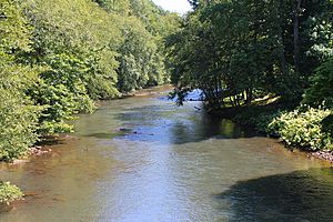 Mahanoy Creek near the Dornsife Gap