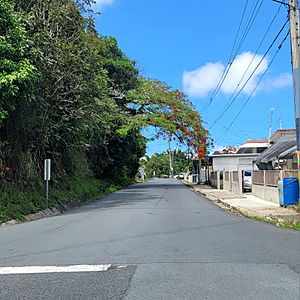 Puerto Rico Highway 173 between Rabanal and Sud barrios