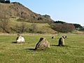 Fortingall stone circles - geograph.org.uk - 1240865