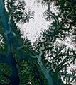 Juneau by Sentinel-2, 2020-07-30 (small version)