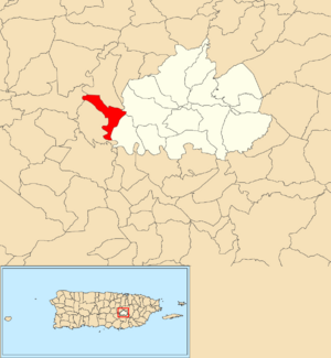 Location of Salto within the municipality of Cidra shown in red