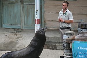 Seal show at Taronga