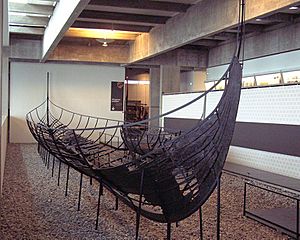 A photograph of the remains of an eleventh-century Viking ship