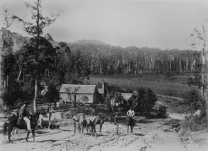 View of a farm in the Mudgeeraba district ca. 1891f