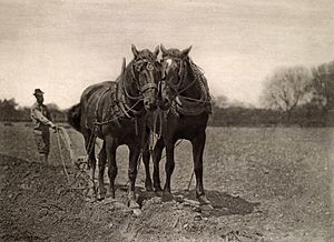 At Plough, The End Of The Furrow, Peter Henry Emerson, 1887