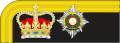 British-Army-Capt(1856-1880)-Collar Insignia