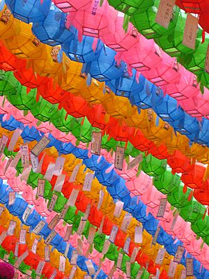 Coloured lanterns at the Lotus Lantern Festival