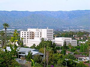 A view of Loma Linda University Medical Center, with the city surrounding it