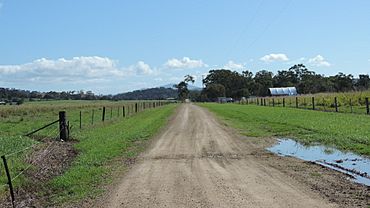 Looking west on Orphanage Road, on the boundary of Nindaroo (south & left) and Habana (north & right), 2016.jpg