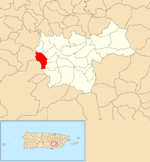 Location of Pasto Viejo within the municipality of Cayey shown in red