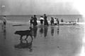 StateLibQld 1 157589 Landing at Bulwer, Moreton Island, Queensland, 1906