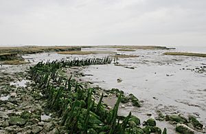 1623 seawall remains canvey island