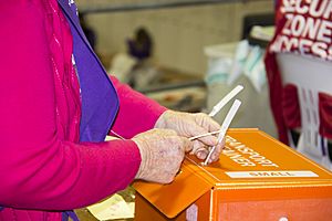 AEC-HoR-ballots-sealed-3