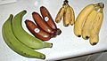 Bananavarieties.jpg