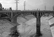 Los Angeles River Bridge B&W