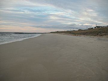 North Cape May shoreline