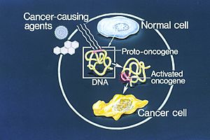 Oncogenes illustration