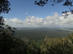 Panorama, Parque Nacional e Histórico do Monte Pascoal.JPG