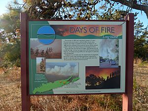 Pine-barrens-fire