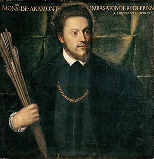 Ritratto dell ambasciatore Gabriel de Luetz d Aramont Tiziano Vecellio 1541 1542 oil on canvas 76 x 74 cm
