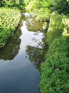 River Browney 20070630