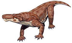 Scylacosaurus