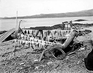 Temporary camp of king salmon trollers at Vallenar Point, Alaska, June 2, 1902 (COBB 152)