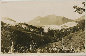 Cayey Road, Cayey, Puerto Rico circa 1900-1917