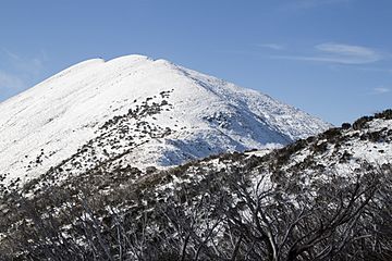 Mount-feathertop-from-summit-track.jpg