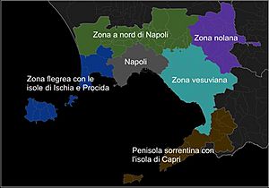 Piano area metropolitana di Napoli