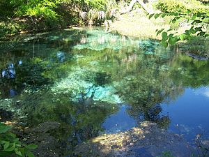 Rainbow Springs State Park source01