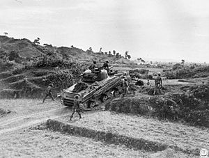 The British Army in Burma 1944 SE1231.jpg