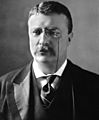 Theodore Roosevelt circa 1902
