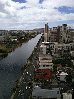 Ala Wai Canal from the 29th Floor