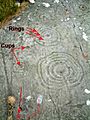 Cup and ring marks