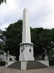 Dalhousie Obelisk 2, Jan 06